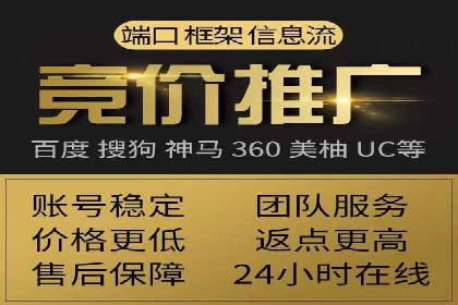 SEM主管实战：数据分析与策略调整